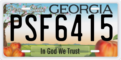 GA license plate PSF6415