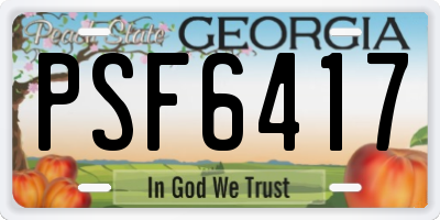 GA license plate PSF6417