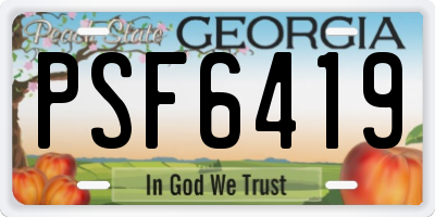 GA license plate PSF6419