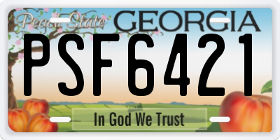 GA license plate PSF6421