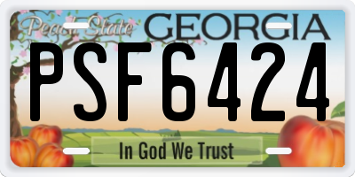 GA license plate PSF6424