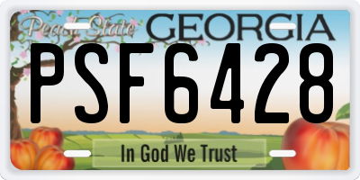 GA license plate PSF6428