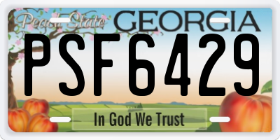GA license plate PSF6429