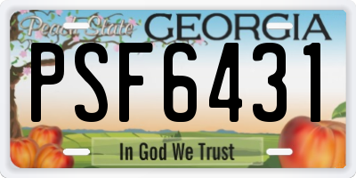 GA license plate PSF6431