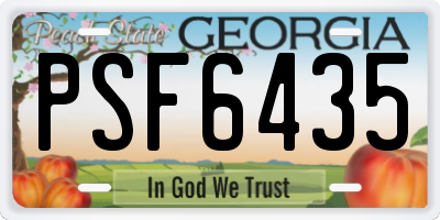 GA license plate PSF6435