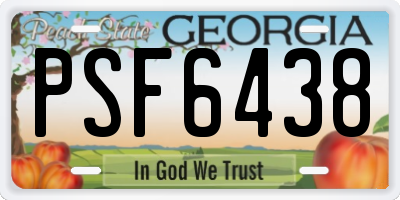 GA license plate PSF6438