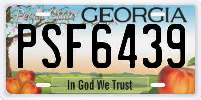 GA license plate PSF6439
