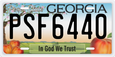 GA license plate PSF6440
