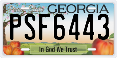 GA license plate PSF6443
