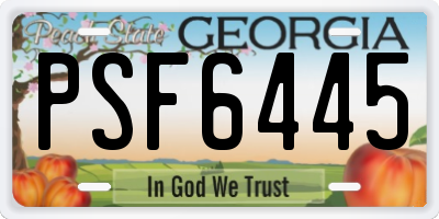 GA license plate PSF6445