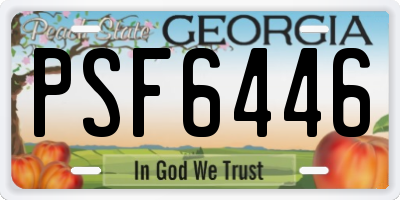 GA license plate PSF6446