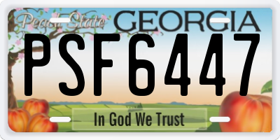 GA license plate PSF6447