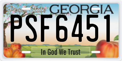 GA license plate PSF6451