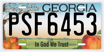 GA license plate PSF6453