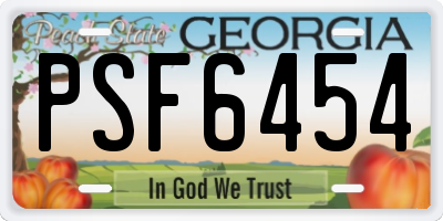 GA license plate PSF6454
