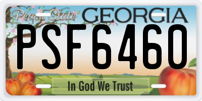 GA license plate PSF6460