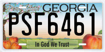 GA license plate PSF6461