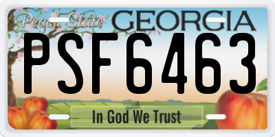 GA license plate PSF6463