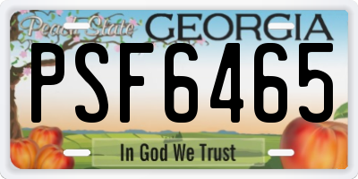 GA license plate PSF6465