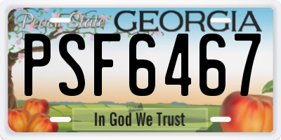 GA license plate PSF6467