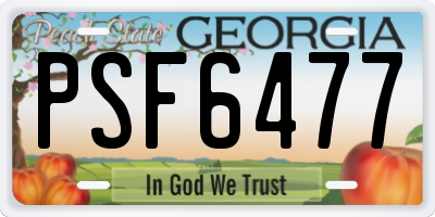 GA license plate PSF6477