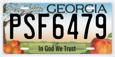 GA license plate PSF6479