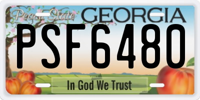 GA license plate PSF6480