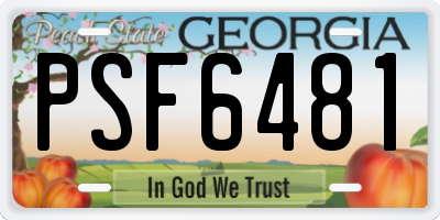GA license plate PSF6481