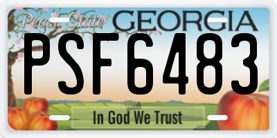 GA license plate PSF6483