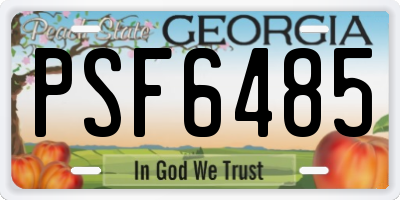 GA license plate PSF6485