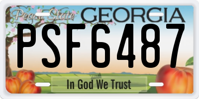 GA license plate PSF6487
