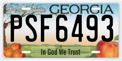 GA license plate PSF6493