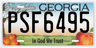 GA license plate PSF6495