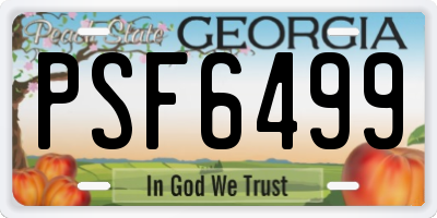 GA license plate PSF6499