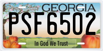 GA license plate PSF6502