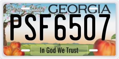 GA license plate PSF6507