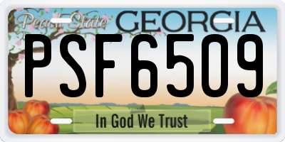 GA license plate PSF6509