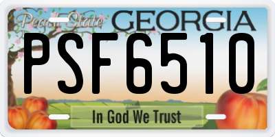 GA license plate PSF6510