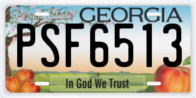 GA license plate PSF6513