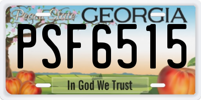 GA license plate PSF6515