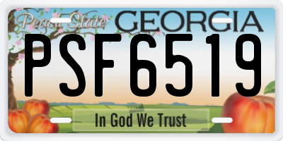 GA license plate PSF6519