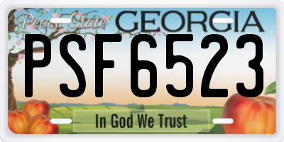 GA license plate PSF6523