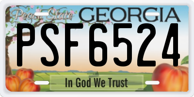 GA license plate PSF6524