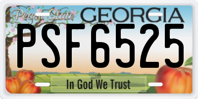 GA license plate PSF6525