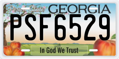 GA license plate PSF6529