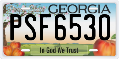 GA license plate PSF6530