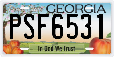 GA license plate PSF6531
