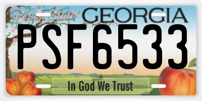 GA license plate PSF6533
