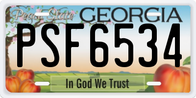 GA license plate PSF6534