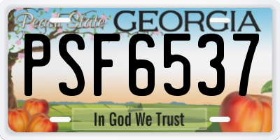 GA license plate PSF6537